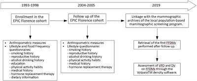 Cigarette smoking and mammographic breast density in post-menopausal women from the EPIC Florence cohort